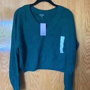 NWT wild Fable cropped sweater